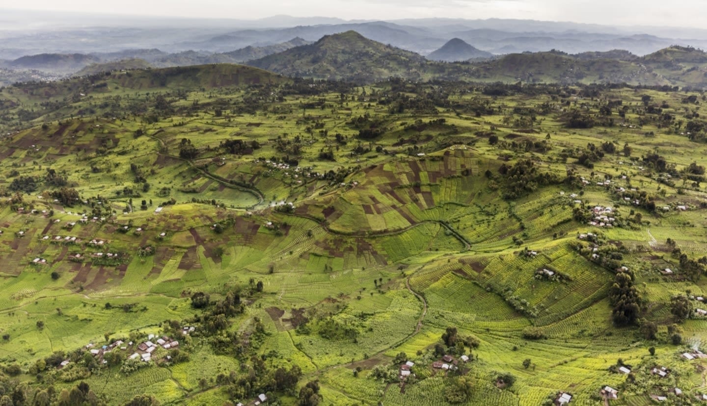 Illegal Agriculture in Virunga National Park