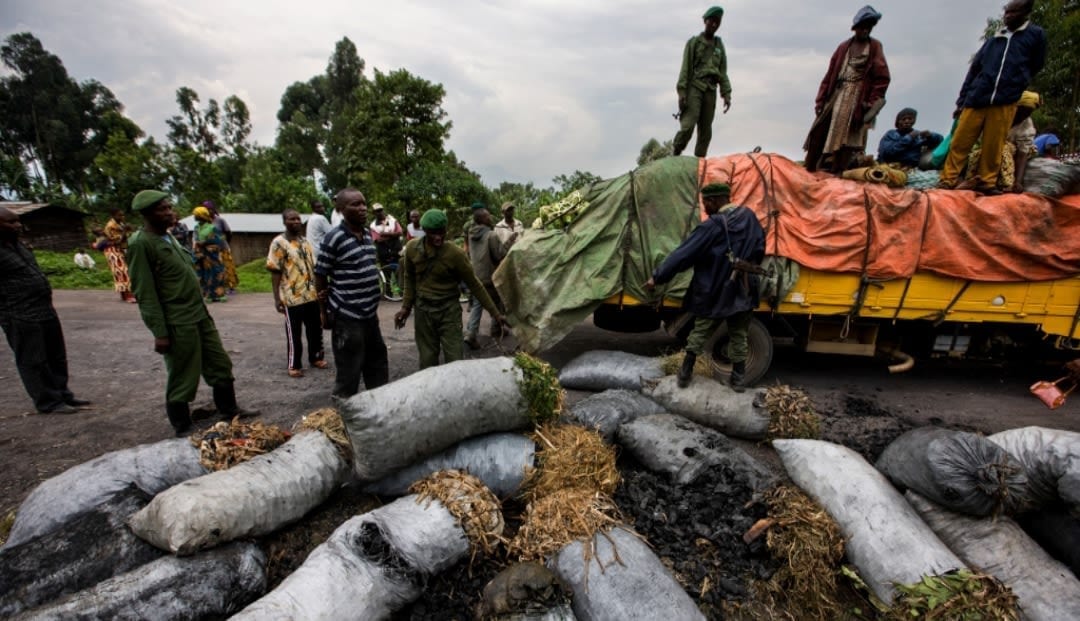 Bags of charcoal in the street in North Kivu
