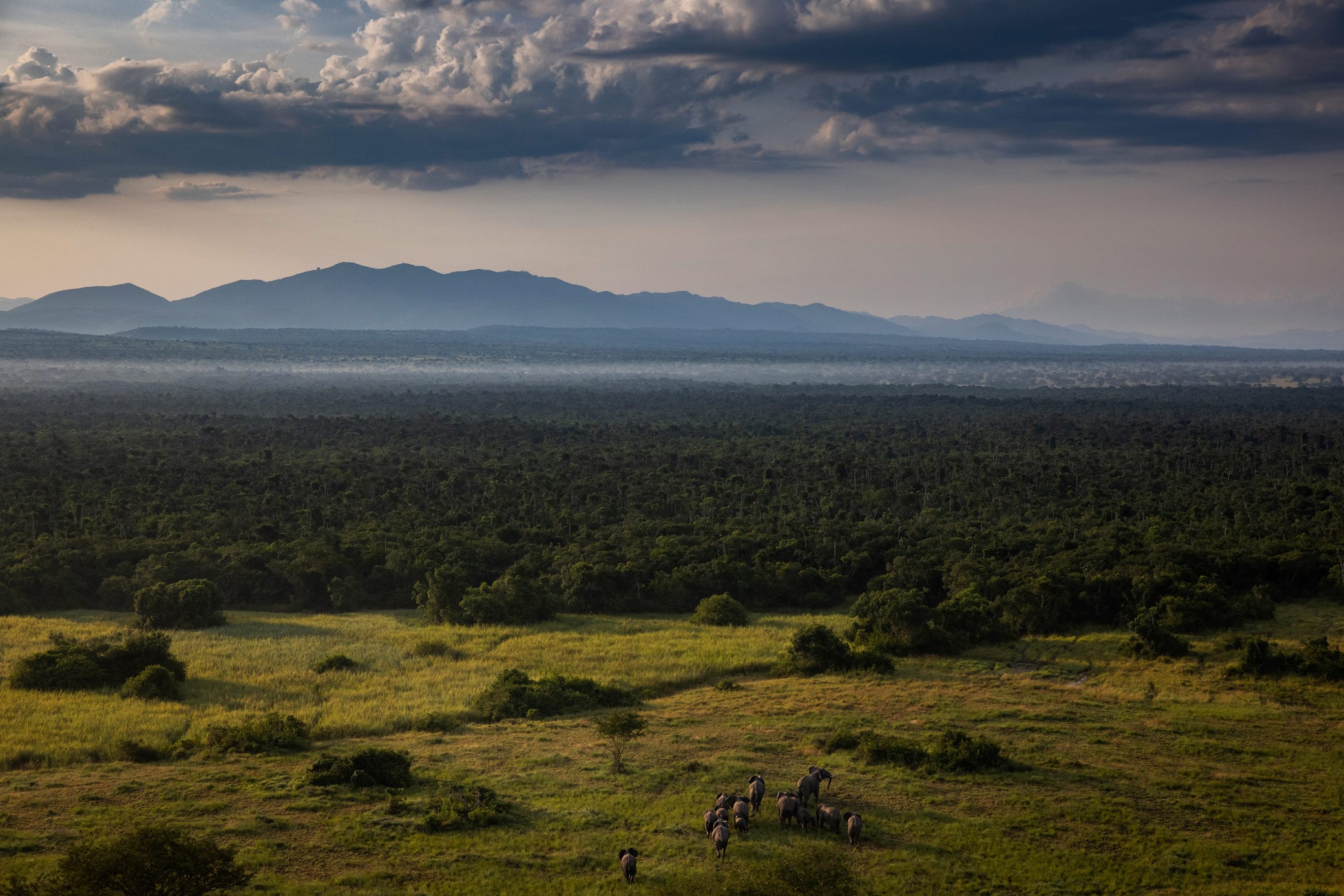 Virunga National Park Landscape