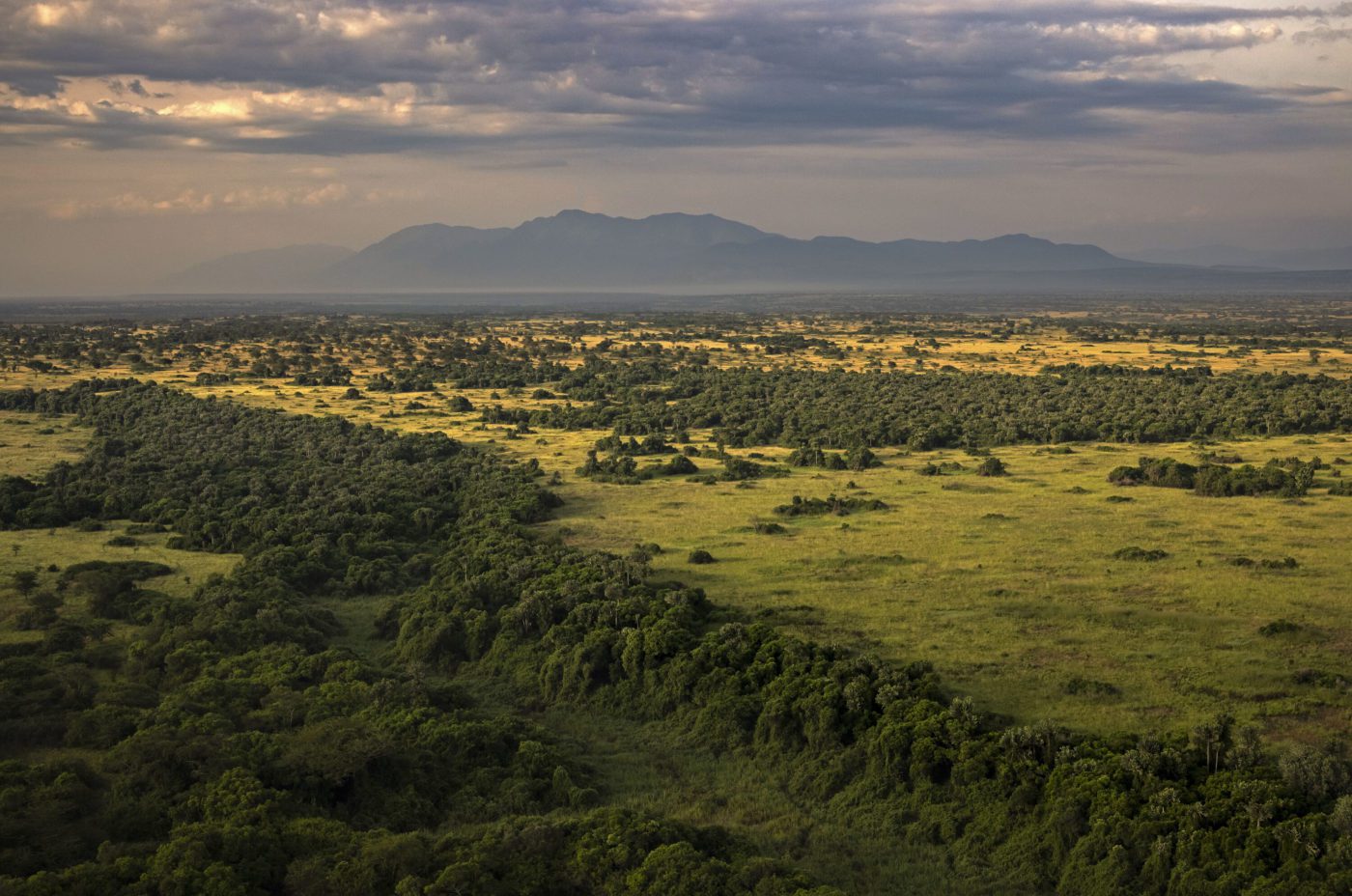 A scenic image of the Lulimbi plains