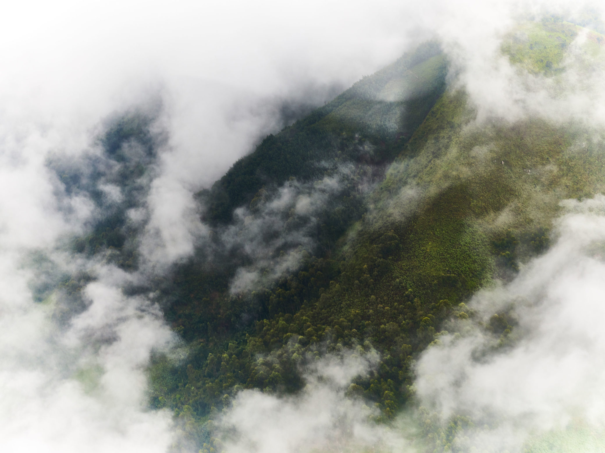 An image of clouds over the rainforest