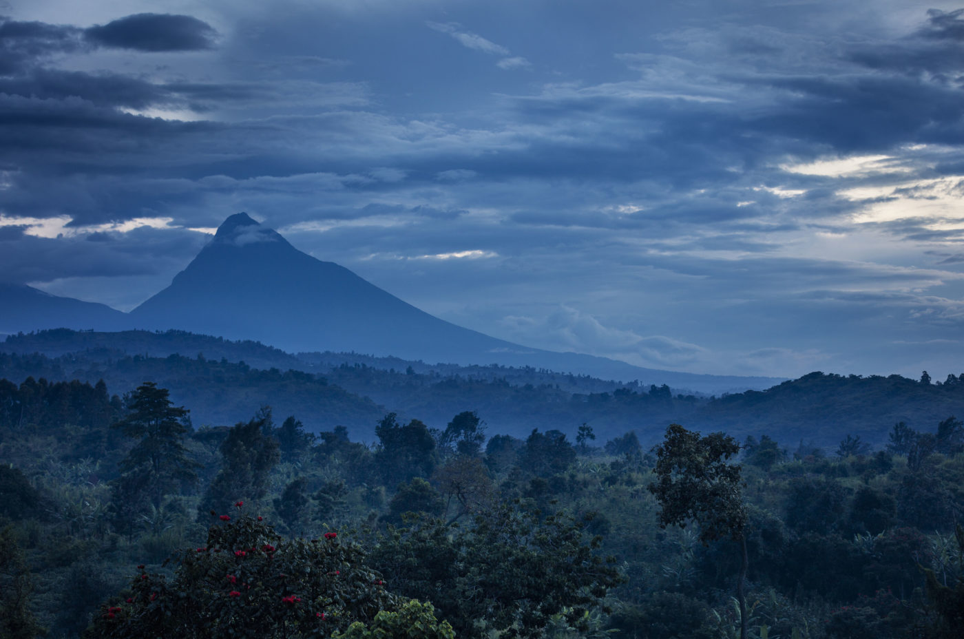 A scenic image of the rainforest and volcanoes of Virunga Park