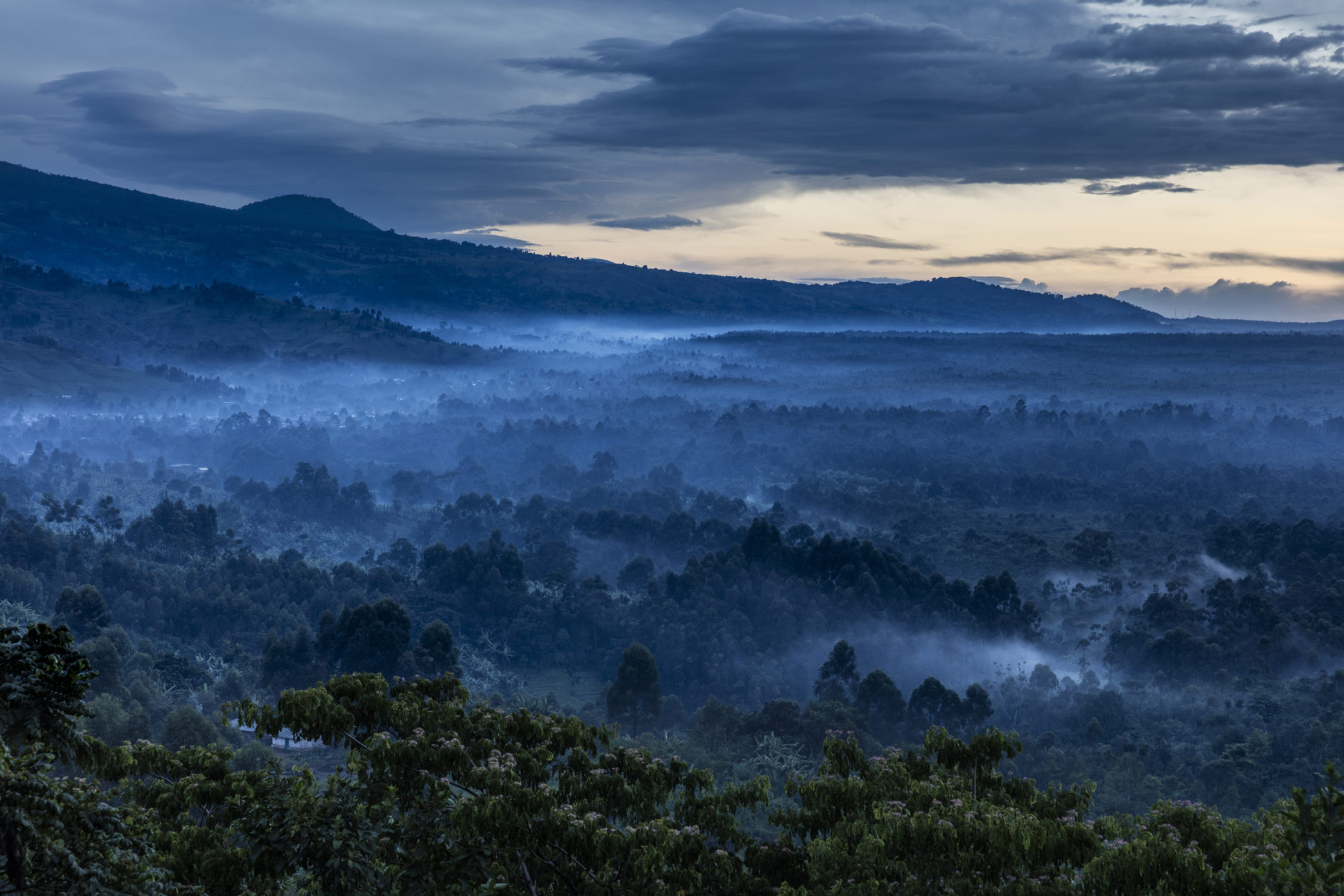 A scenic image of early morning mists over the rainforest