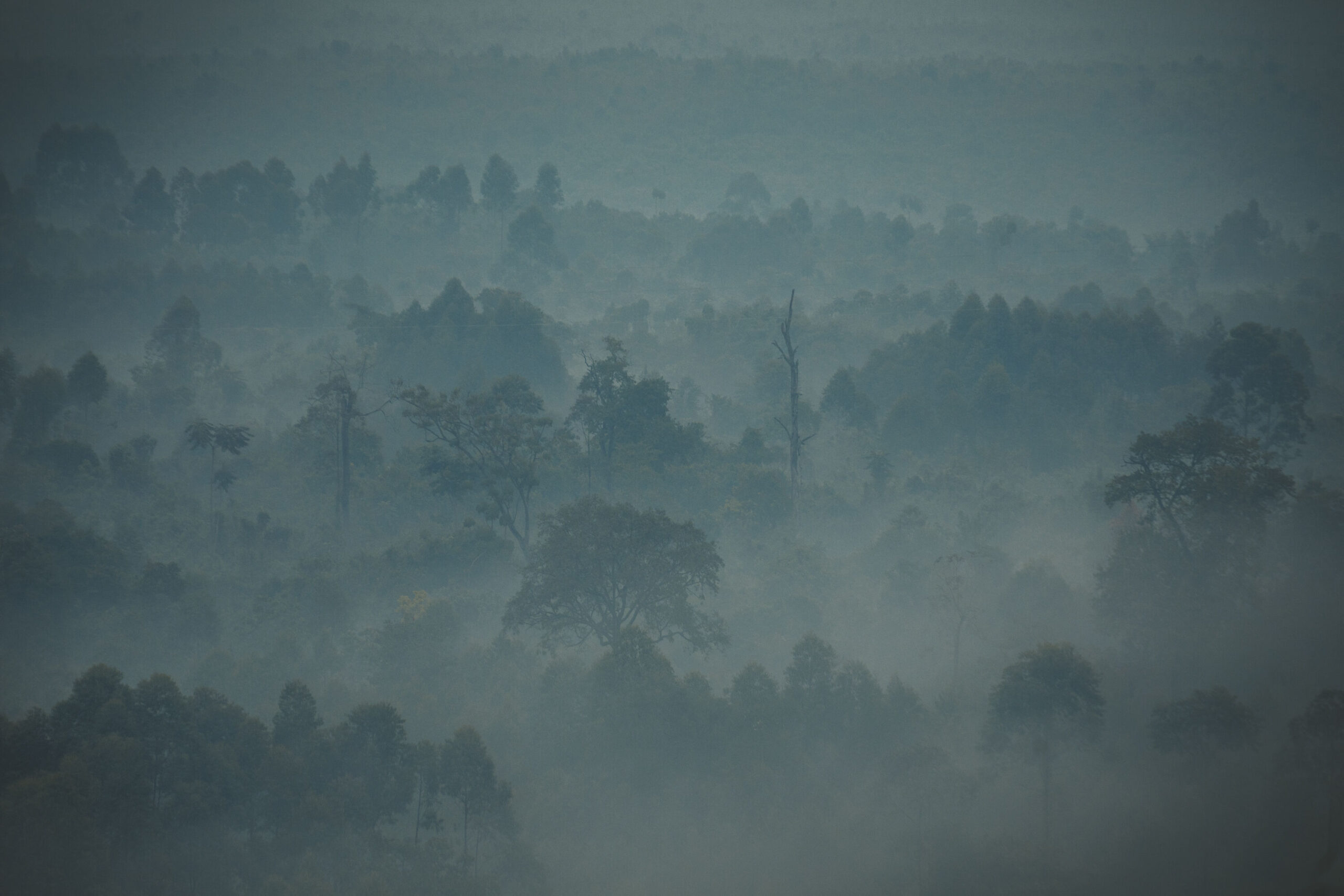 Misty Landscape by Tristan Chopard