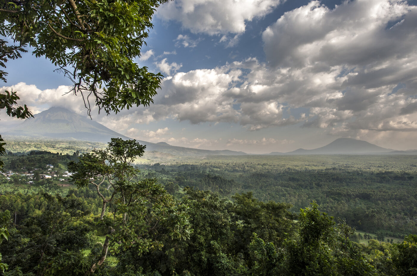 Virunga Landscape by Therese Redaelli