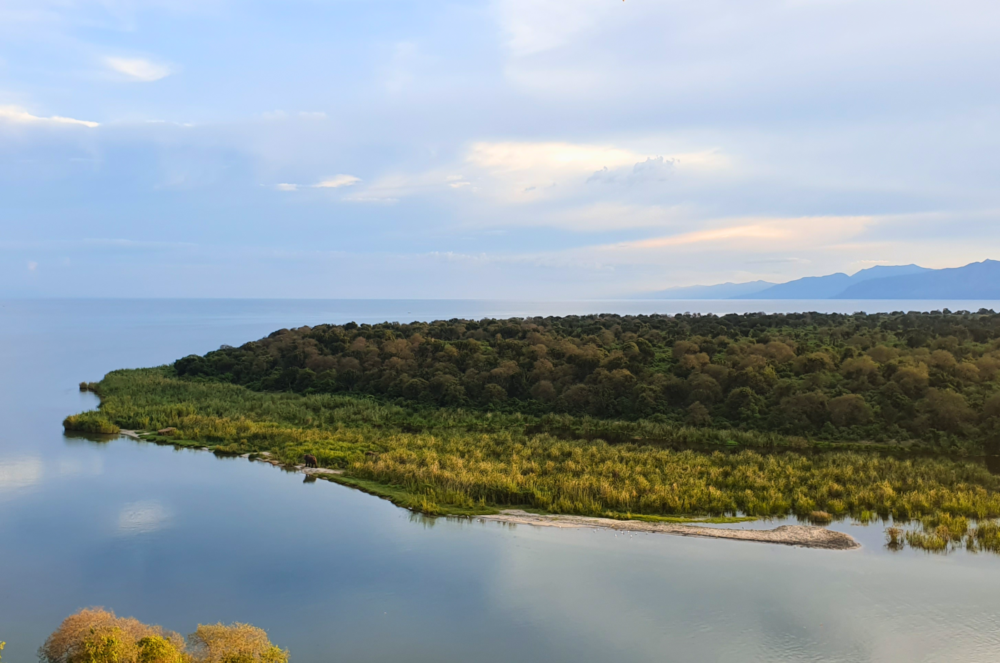 Ishango Landscape
