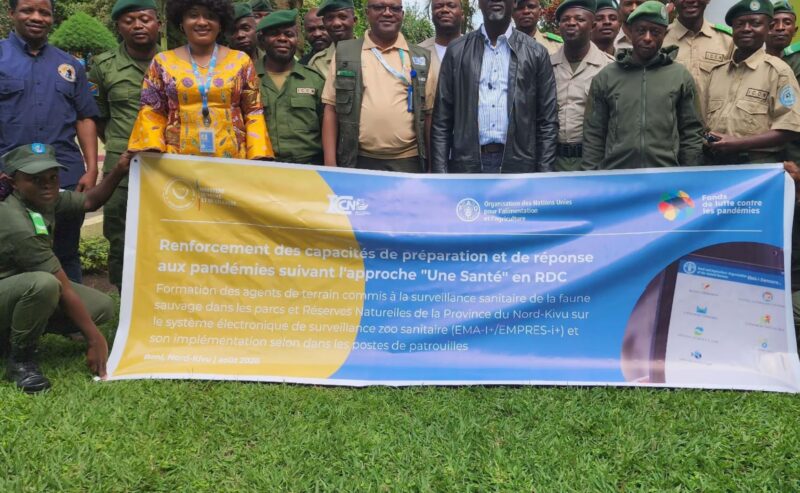 Virunga participe à une formation sur la surveillance sanitaire de la faune à Beni