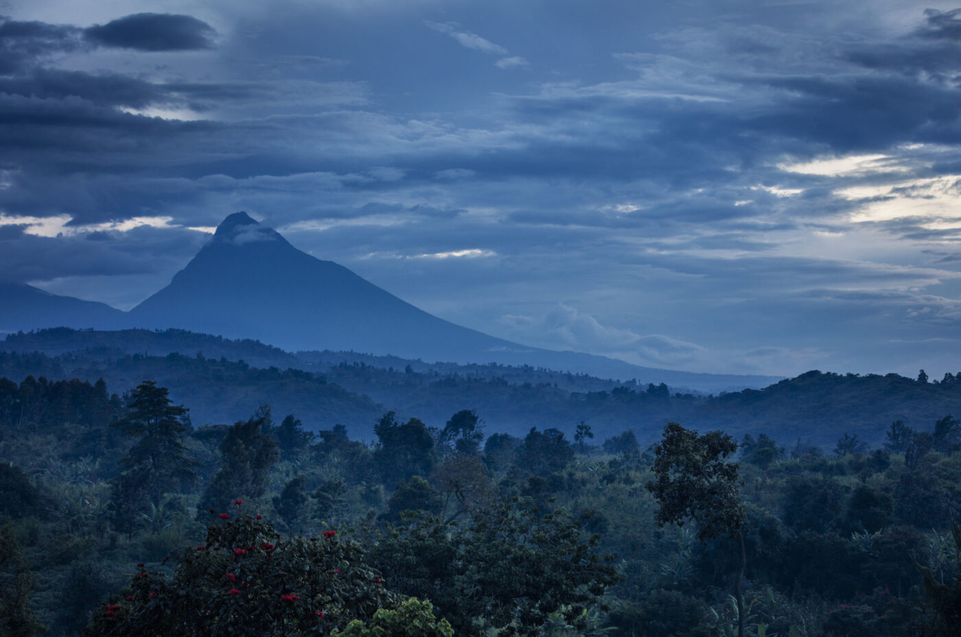 A scenic image of early morning mists over the rainforest